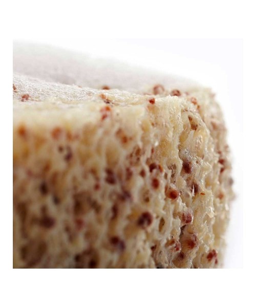 Scrub Sponge Natural Edition - mit Olivengruben