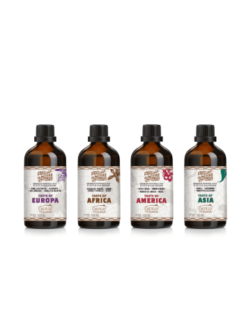 Castillo de Canena Arbequino & World Coffret 4x100 ml. - Oliva Oliva 2