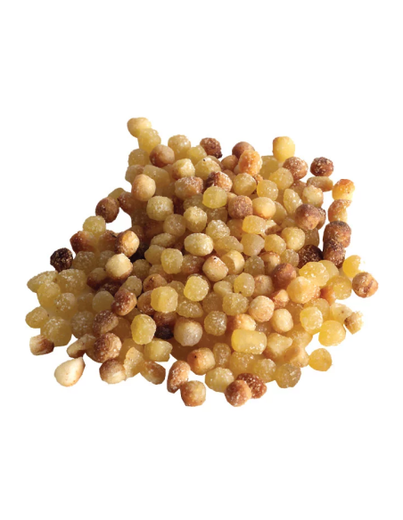 Rustichella d'Abruzzo Fregola Tostata Packet 500 gr. - Oliva Oliva