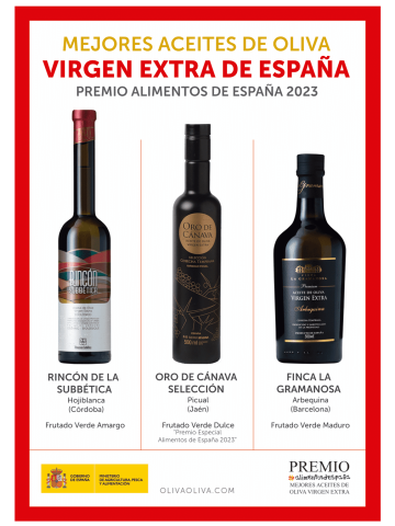 Besten Spanischen Olivenöle 2023 im Holzkiste - Oliva Oliva 2