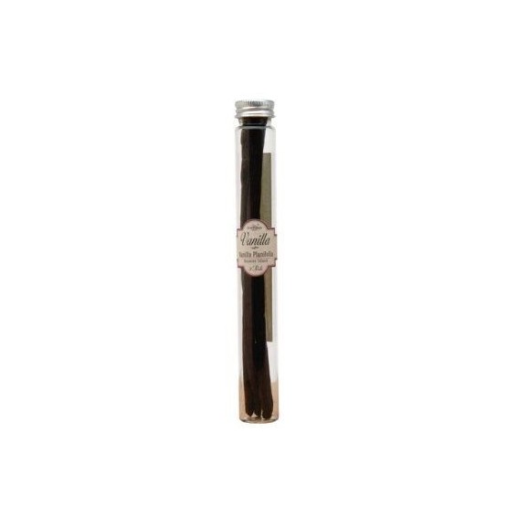 Terre Exotique Vainilla Bourbon 2 Vainas Frasco 8 gr. - Oliva Oliva