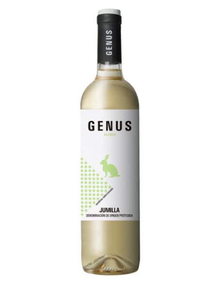 Genus 2022 Weißwein Glasflasche 750 ml. - Oliva Oliva