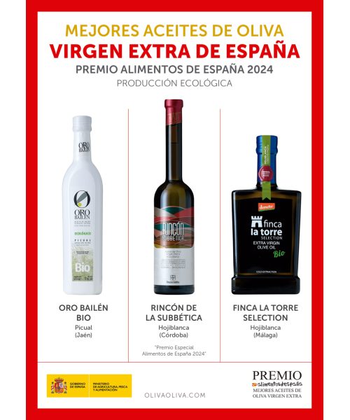 Besten Spanischen Olivenöle 2024 im Holzkiste - Oliva Oliva