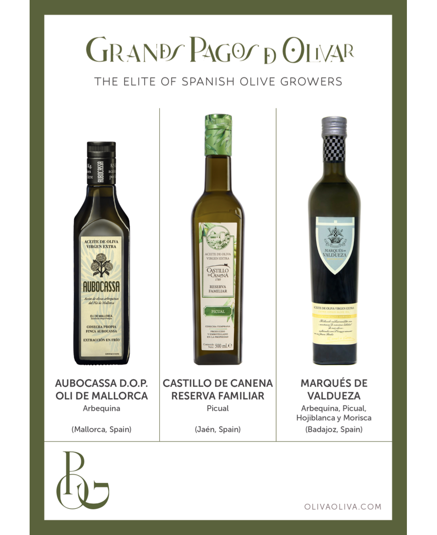 Best Olive Oils Grandes Pagos de Olivar in Wooden box - Oliva Oliva