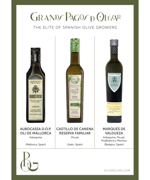 Besten Olivenöle Grandes Pagos de Olivar im Holzkiste - Oliva Oliva